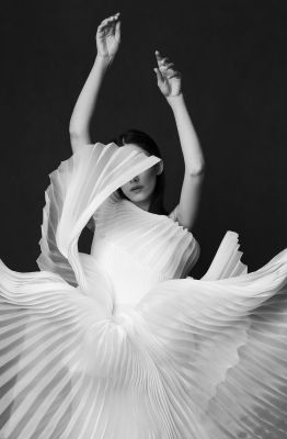 Swan Lake / Fine Art  Fotografie von Fotograf Peyman Naderi ★19 | STRKNG