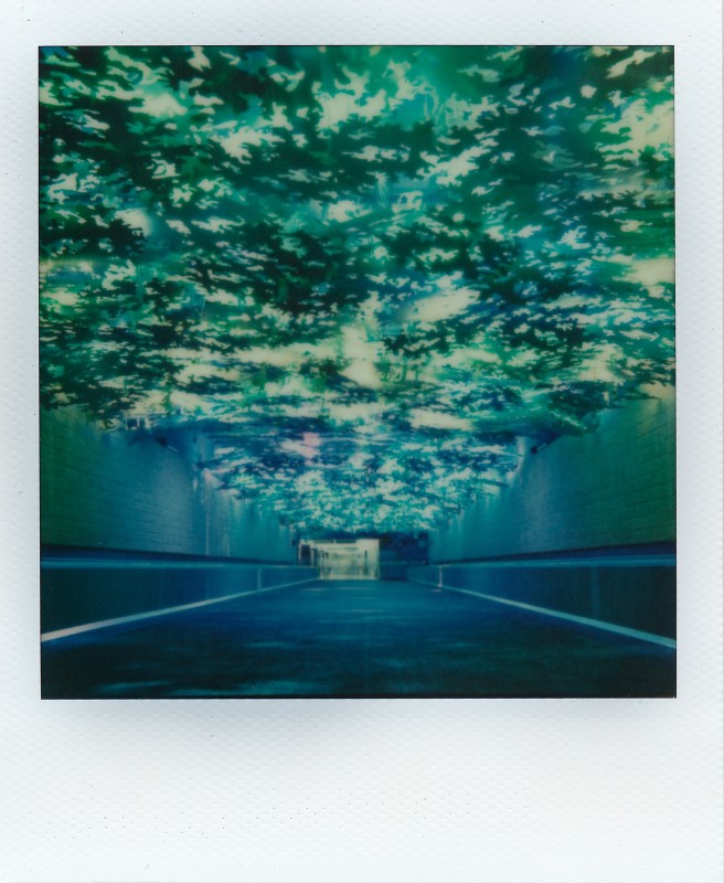 Airport Rainforest - &copy; Bret Watkins | Instant Film