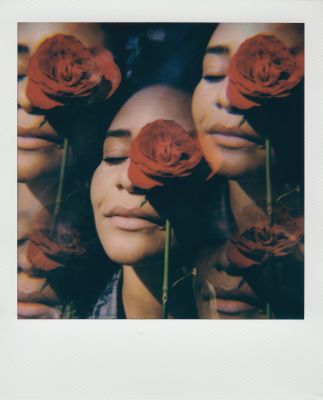 Sun Kissed Roses / Instant-Film  Fotografie von Fotografin Bret Watkins ★1 | STRKNG