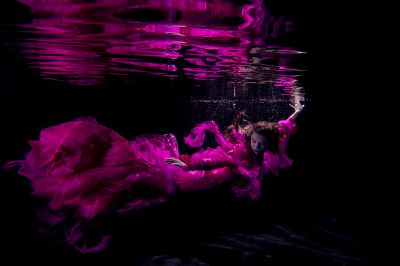 Betta splendens / Mode / Beauty  Fotografie von Fotograf Stephan Ernst ★1 | STRKNG