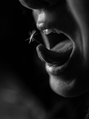 t*ng** / Schwarz-weiss  Fotografie von Fotograf Mario Diener ★7 | STRKNG