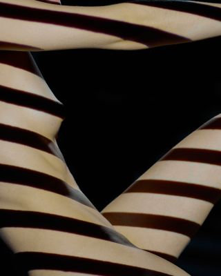 Gerda / Nude  Fotografie von Fotograf Wilfried Bordasch | STRKNG