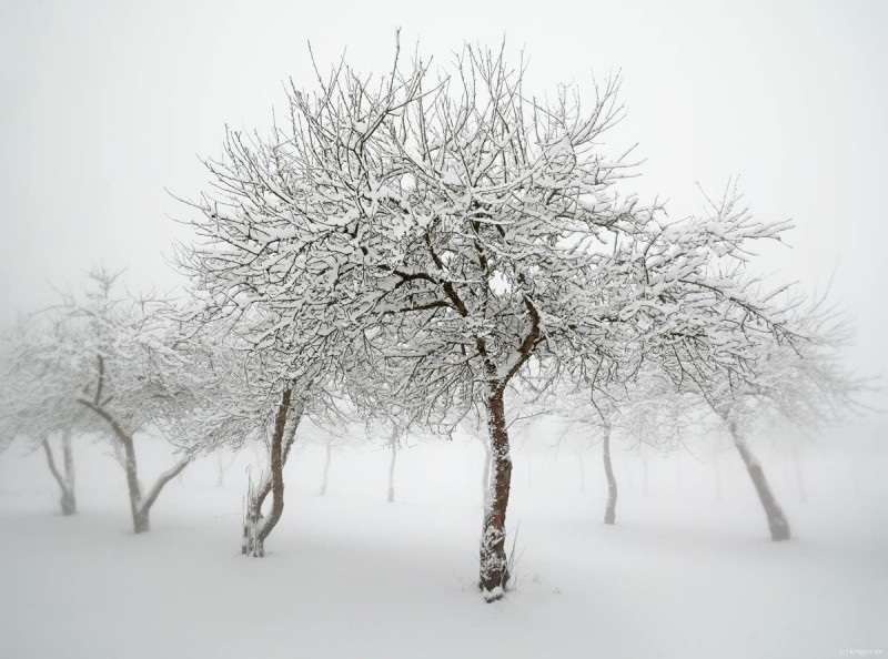 Dancers - &copy; Egon K | Landscapes