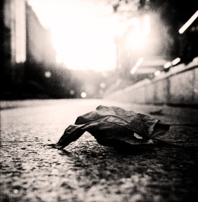 Autumn mood / Schwarz-weiss  Fotografie von Fotograf Claudio Taras ★1 | STRKNG