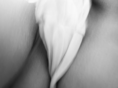 silk knickers / Nude  photography by Photographer Dietmar Walther ★2 | STRKNG