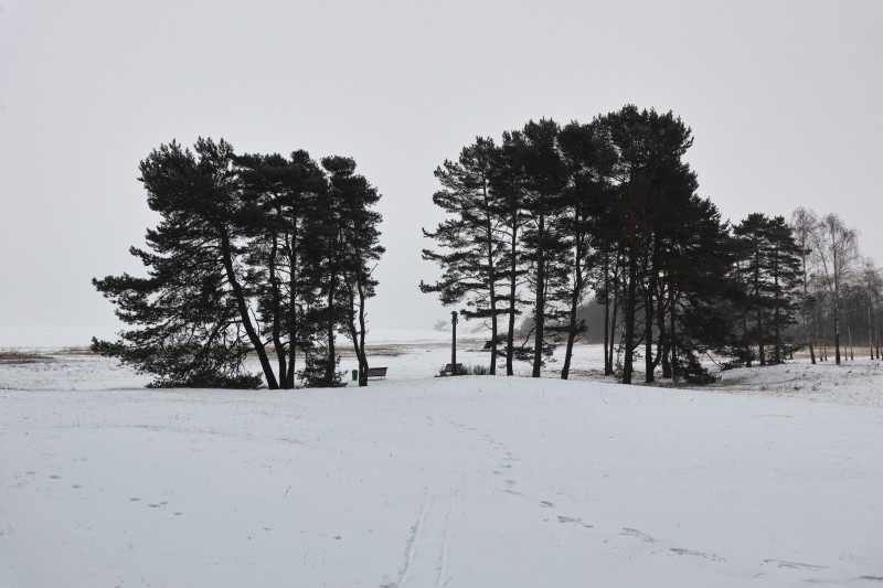 Nida / winter 2021 - &copy; pranzou | Landscapes