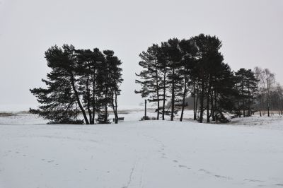 Nida / winter 2021 / Landscapes  Fotografie von Fotograf pranzou ★1 | STRKNG
