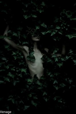 Abstrakt  Fotografie von Fotograf Venage | STRKNG