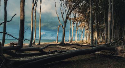 Baltic Sea shore, Germany / Landscapes  Fotografie von Fotograf Y. Adrian ★1 | STRKNG