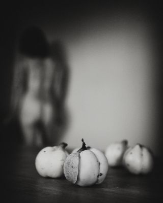 Quitten / Konzeptionell  Fotografie von Fotografin Claudy B. ★53 | STRKNG