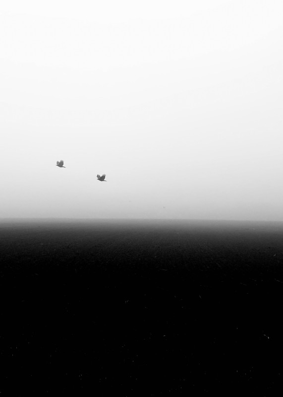 Nebel - &copy; David Jahn | Black and White