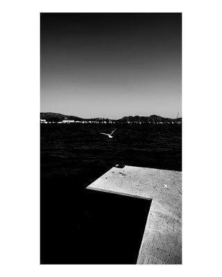 seagull / Landscapes  Fotografie von Fotograf David Jahn ★3 | STRKNG