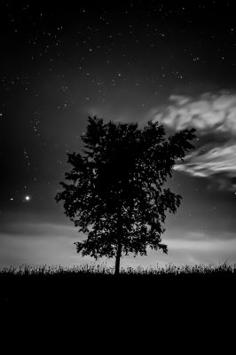 Sommernachtssturm / Natur  Fotografie von Fotograf David Jahn ★2 | STRKNG