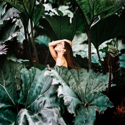 Jungle / Fine Art  photography by Photographer Ralf Freitag Photography ★9 | STRKNG