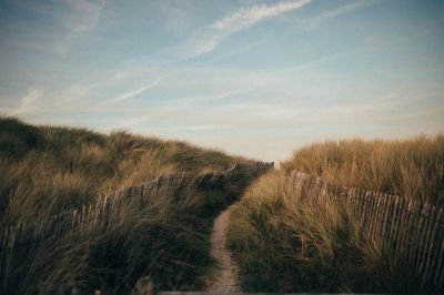 Natur  Fotografie von Fotograf Fabian Hönig ★4 | STRKNG