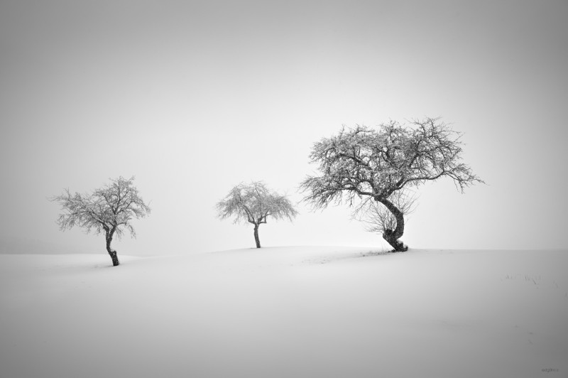 last snow - &copy; dg9ncc | Landscapes