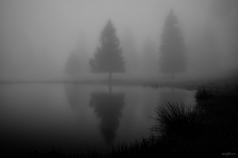 a foggy day - &copy; dg9ncc | Landscapes