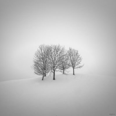 King's Hill / Landscapes  photography by Photographer dg9ncc | STRKNG
