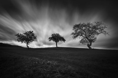 Trilogy / Landscapes  Fotografie von Fotograf dg9ncc ★2 | STRKNG