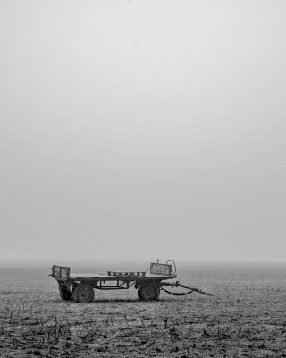 Agrarlandschaft Westfalen / Fine Art  Fotografie von Fotograf Franz Hering | STRKNG