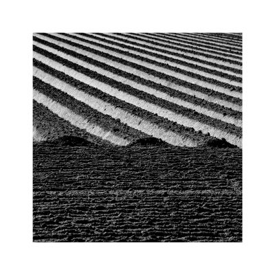 Ackergeometrie / Schwarz-weiss  Fotografie von Fotograf Franz Hering | STRKNG