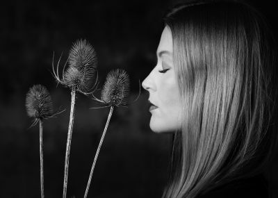 Caro, Portrait mit Disteln / Portrait  Fotografie von Fotograf mse ★1 | STRKNG