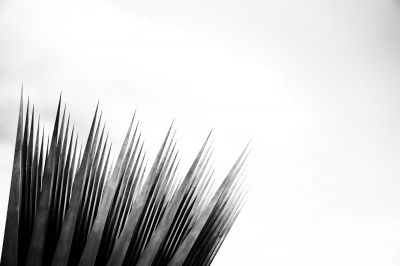 „Das Haus des Sohnes“ / Black and White  photography by Photographer motorklick ★1 | STRKNG