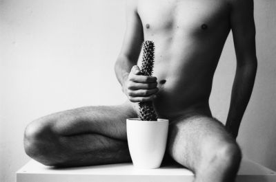 Kaktus / Fine Art  Fotografie von Model Sebastian Löwe ★4 | STRKNG