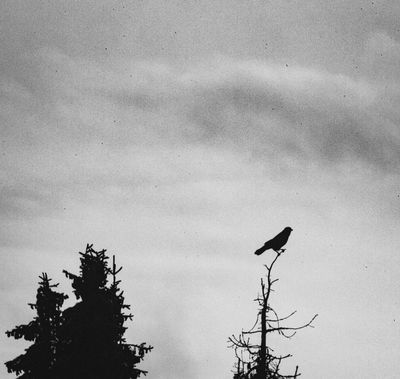 through the windowpane / Schwarz-weiss  Fotografie von Fotografin Annalena Joschko ★1 | STRKNG