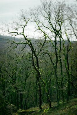 Entmood / Fine Art  photography by Photographer Christian A. Friedrich ★2 | STRKNG