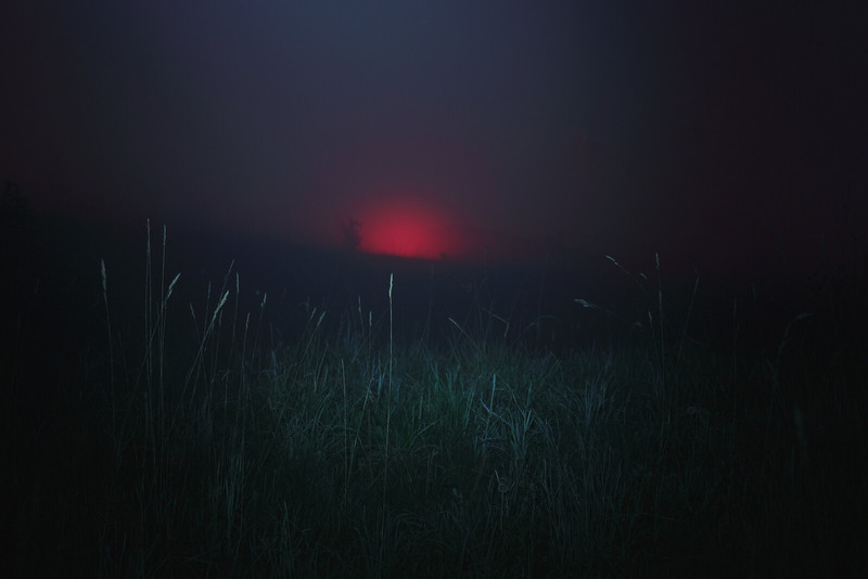 the fog - &copy; Mindaugas Buivydas | Landscapes