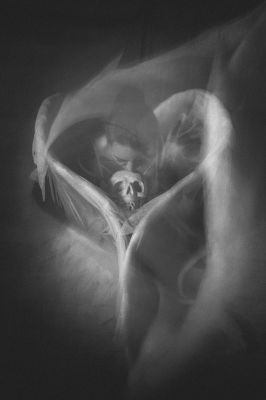 Angel and Death / Conceptual  photography by Photographer Marcus Schmidt ★5 | STRKNG
