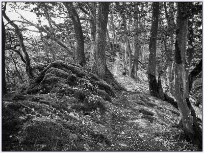 Verwunschene Landschaft / Landscapes  Fotografie von Fotograf Klaus-Juergen Krah | STRKNG