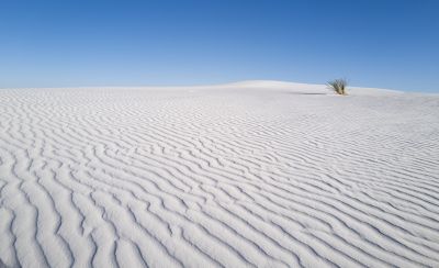 White Sands, NM / Landscapes  Fotografie von Fotograf Christian Mangeot | STRKNG