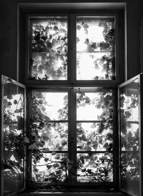 The Window / Lost places  Fotografie von Fotograf Martin Schweitzer ★2 | STRKNG