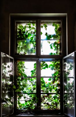 The Window / Lost places  Fotografie von Fotograf Martin Schweitzer ★2 | STRKNG