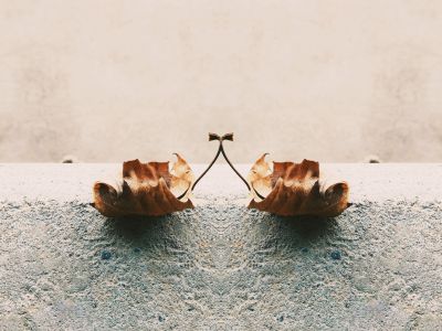 Floating leaf / Fine Art  Fotografie von Fotograf Col_shots | STRKNG