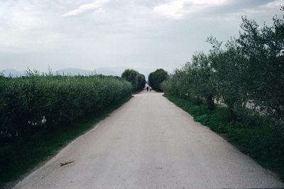 Natur  Fotografie von Fotografin Giulia Galeno ★2 | STRKNG