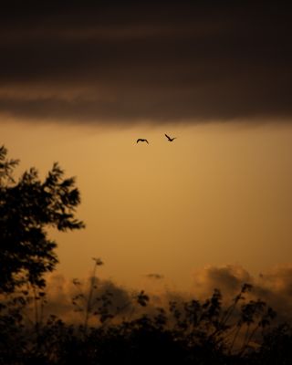 days gone by / Nature  photography by Photographer Danny Tangermann ★1 | STRKNG