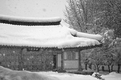 Winter Cottage / Schwarz-weiss  Fotografie von Fotograf Leigh MacArthur | STRKNG