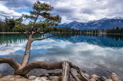 Calming view of Lac Beauvert / Landscapes  photography by Photographer d.hoffgaard-photography | STRKNG