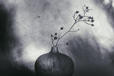 Still-Leben  Fotografie von Fotograf achim brandt ★4 | STRKNG