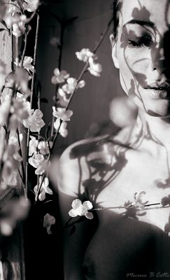 *** / Nude  photography by Photographer Mecuro B Cotto ★28 | STRKNG