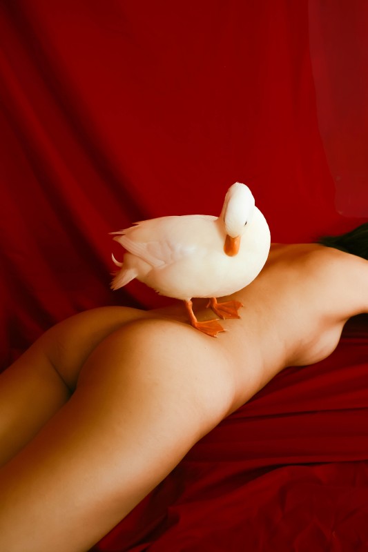 Duck and master - &copy; Yeh Shu Yu | Nude