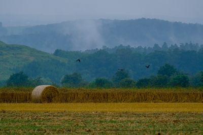 harvest / Landscapes  photography by Photographer Cris Dollhopff | STRKNG