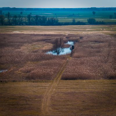 Elbaue / Landscapes  photography by Photographer Ansgar Book | STRKNG