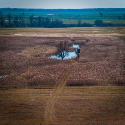 Elbaue / Landscapes  Fotografie von Fotograf Ansgar Book | STRKNG