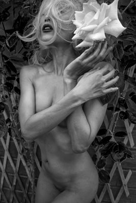 My Flower Of Love / Nude  Fotografie von Fotograf Andrew W Pilling ★12 | STRKNG