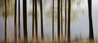 golden sunrise / Natur  Fotografie von Fotograf fotostream | STRKNG