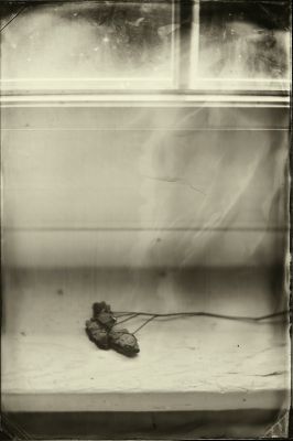 le Léthé / Alternative Process  photography by Photographer Julien Pironin ★1 | STRKNG